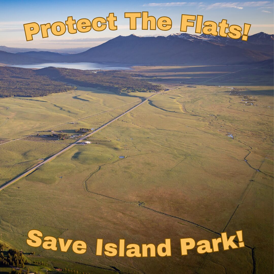 Protect the Henry Lake Flats!